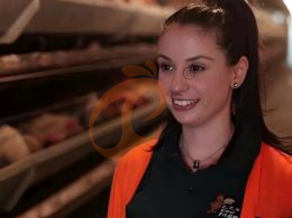 Сравнение стоимости ручной и автоматической системы клеток для птицы в Эфиопии: 6 бюджетных сравнений