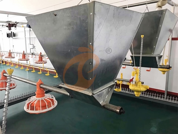 Руководство по покупке автоматической системы кормления птицы: цена, экономия затрат и популярные пользовательские запросы