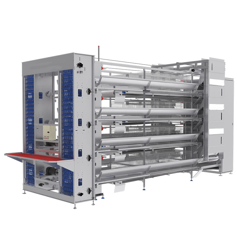 Как точно наблюдать за циклом повышения температуры курицы в батарейной клетке