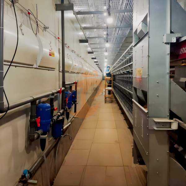 Day Old Chicken Cage Design (17)