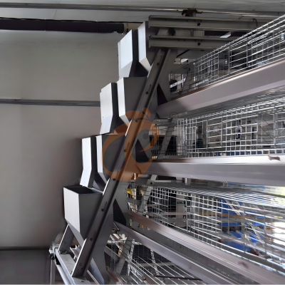 Day old chicken cage design (5)