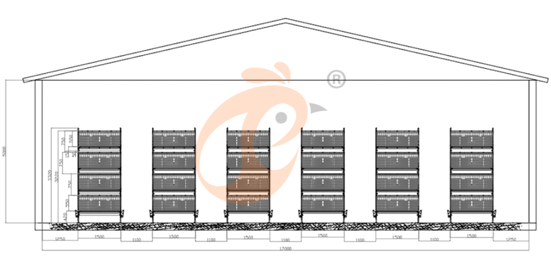 broiler chicken cage design (14)