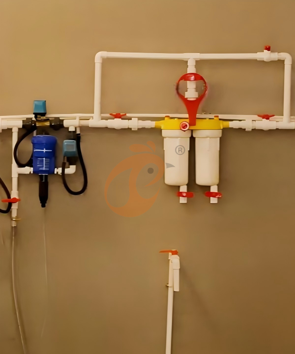 broiler chicken cage design (15)(1)