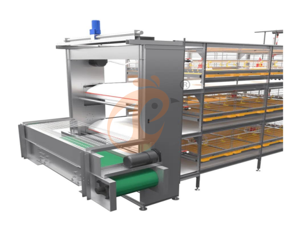 broiler chicken cage (4)