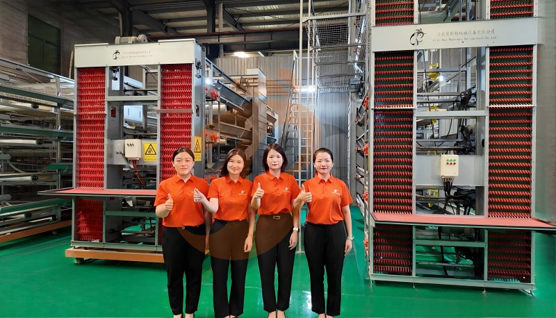 supplier and manufacture chicken cage and poultry farm equipment (7) supplier and manufacture chicken cage and poultry farm equipment (7)