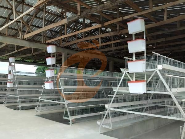 A H layer chicken battery cage price in poultry farm (103)