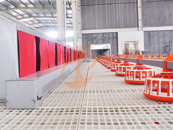 Floor Rearing Poultry System1 (4)