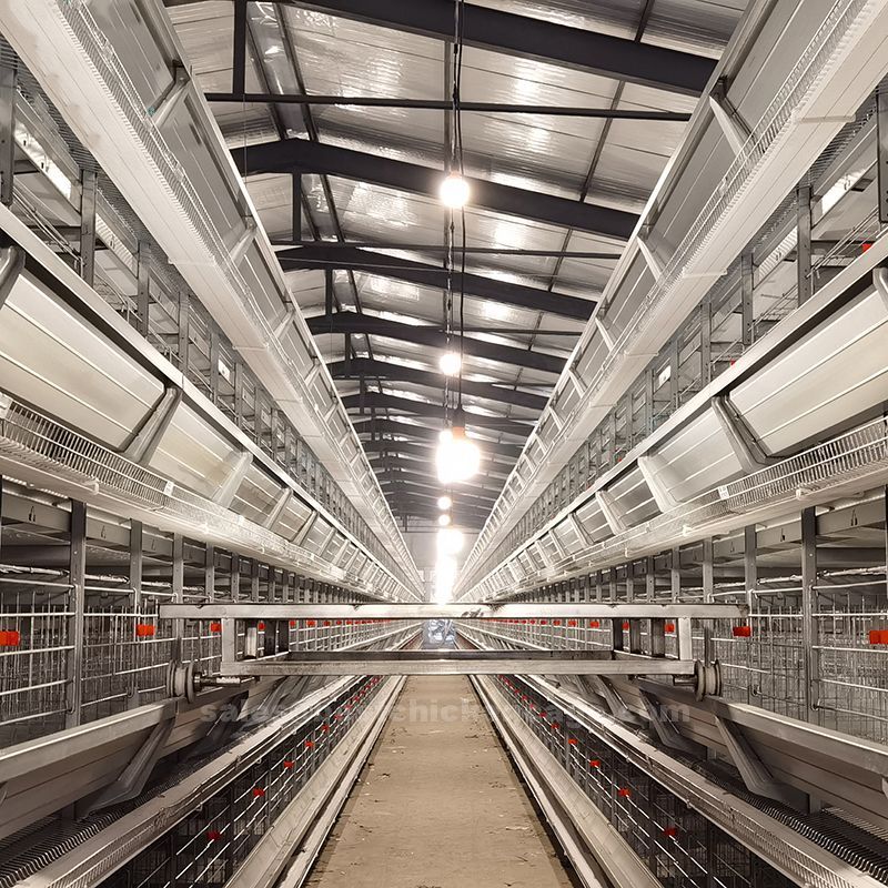 鸡笼或蛋鸡笼H (65).jpg