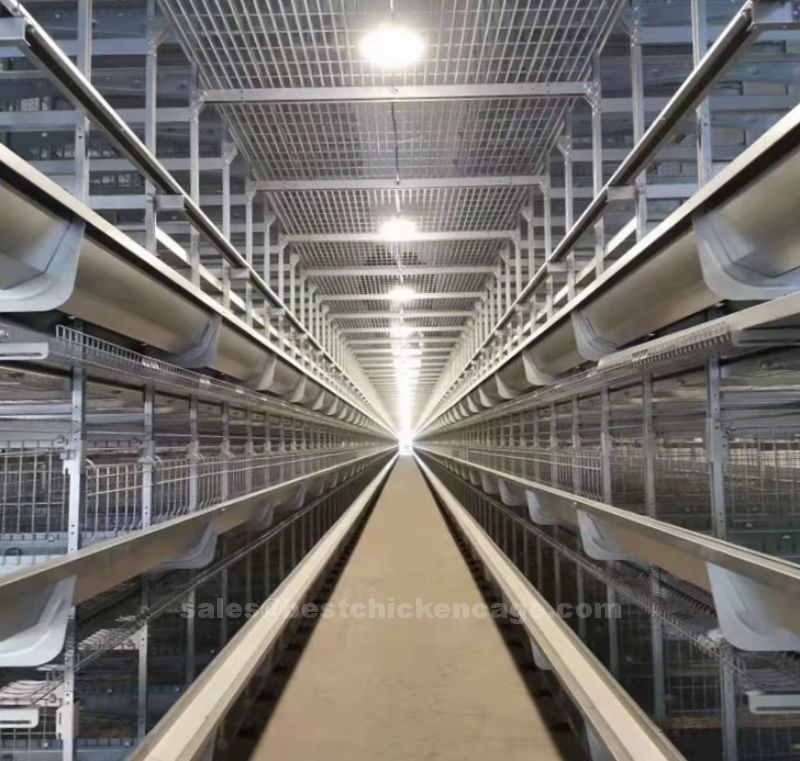 鸡笼或蛋鸡笼H (46).jpg