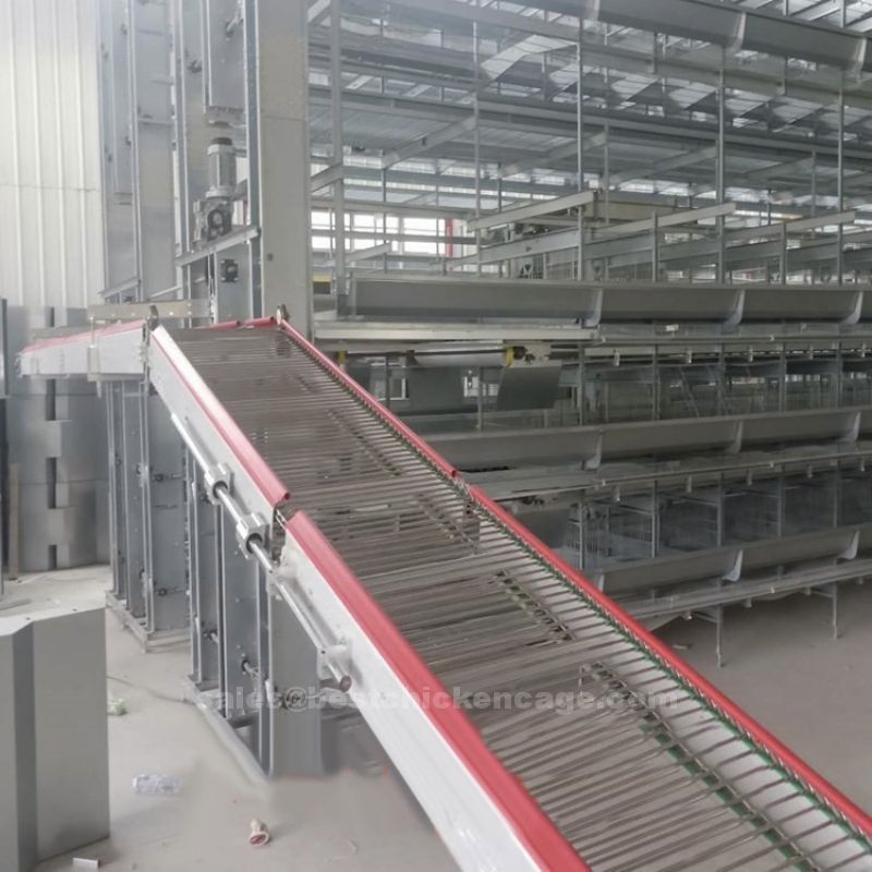 鸡笼或蛋鸡笼H (6).jpg