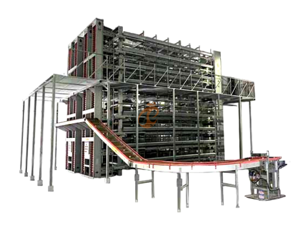 Layer Chicken Cage Design (16)