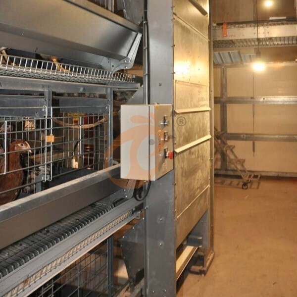 Layer Chicken Cage Design (1)