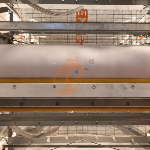 Chicken Manure Removal (1) Chicken Manure Removal (1)