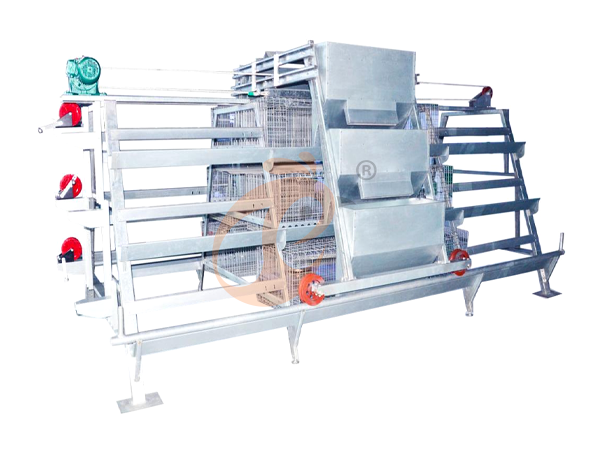 Day old chicken cage design (7)