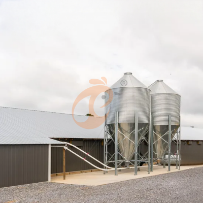 Day old chicken cage design (4)