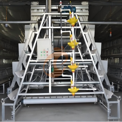 Day old chicken cage design (6)