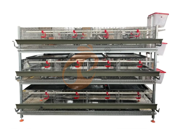 Day Old Chicken Cage (1)