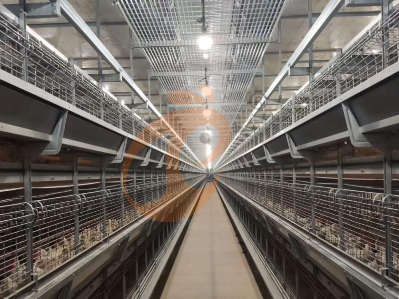 Porque é que a Battery Cage Nigeria está a ganhar popularidade entre os agricultores