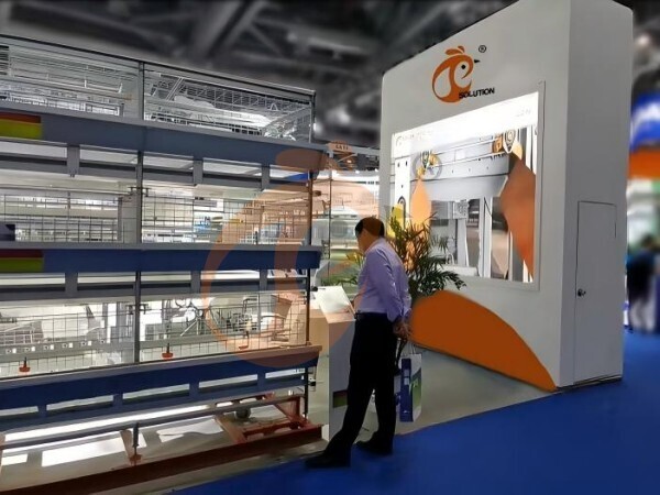 Filial chinesa oferece plano de negócios para avicultura e fabrica equipamentos para avicultura