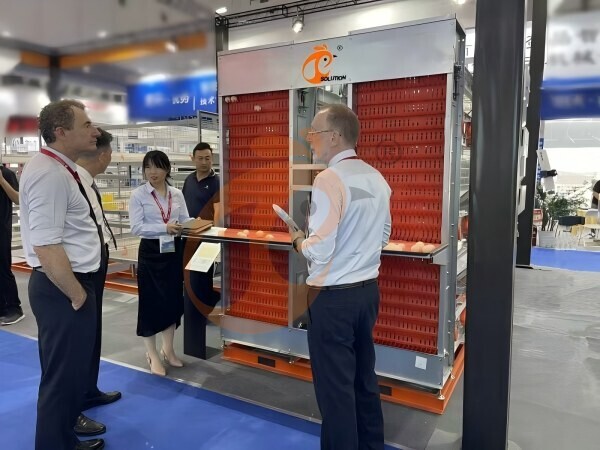 Filial chinesa oferece plano de negócios para avicultura e fabrica equipamentos para avicultura