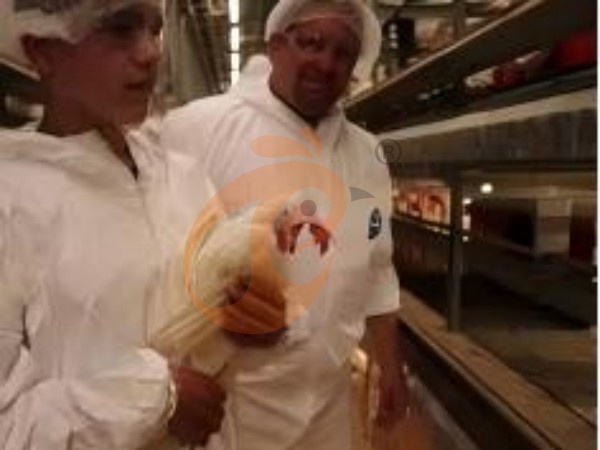 H A chicken battery cage for layers in poultry farm (50)