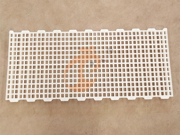 Floor Rearing Poultry System1 (9)