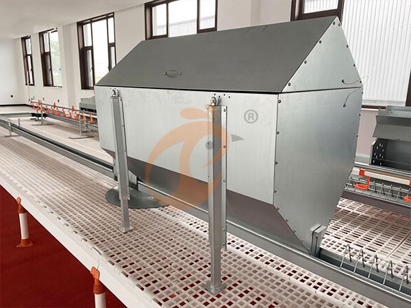 Feed System1 (11)