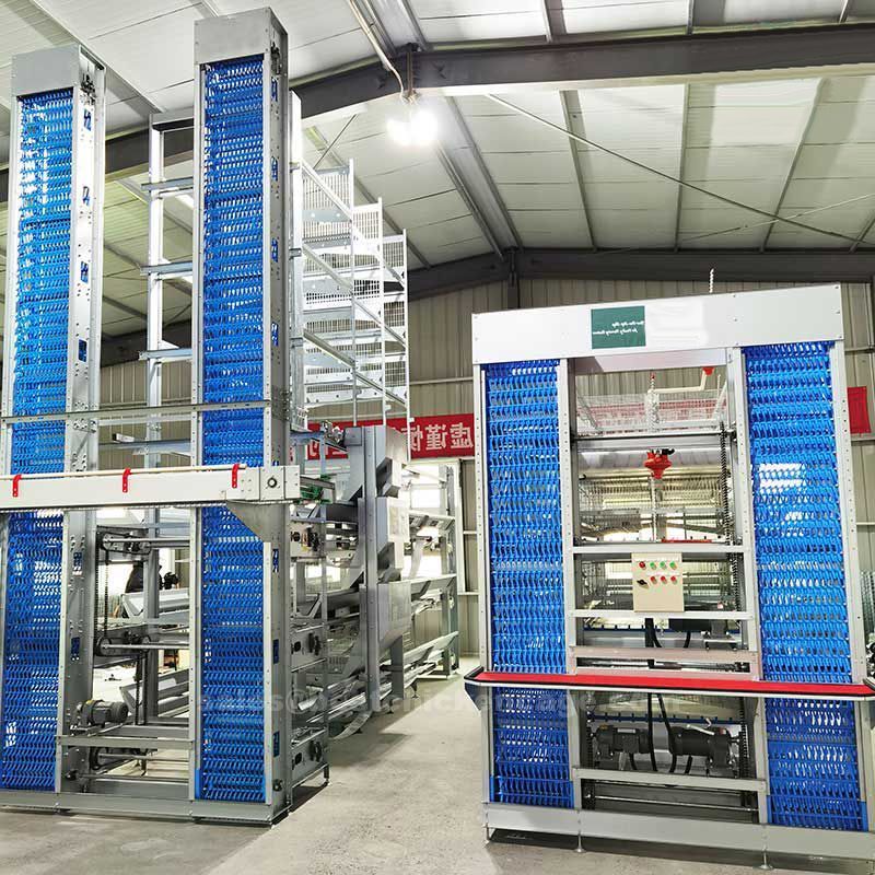 鸡笼或蛋鸡笼H (32).jpg