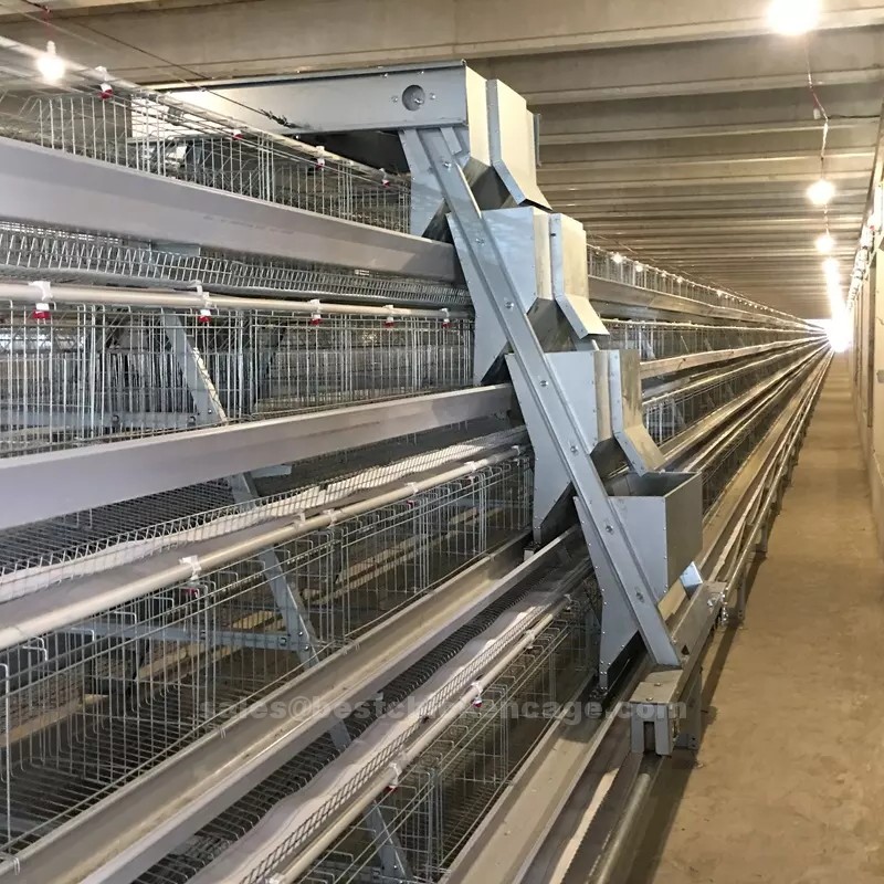 Problems to be paid attention to when using A or H type automatic chicken cage