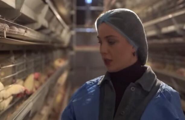 Connaissez-vous le système de cages en batterie dans la volaille ? Il est équipé de systèmes d'alimentation et d'abreuvement, ainsi que d'installations de collecte d'œufs