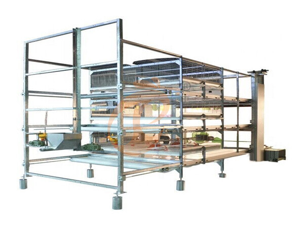 broiler chicken cage design (2)