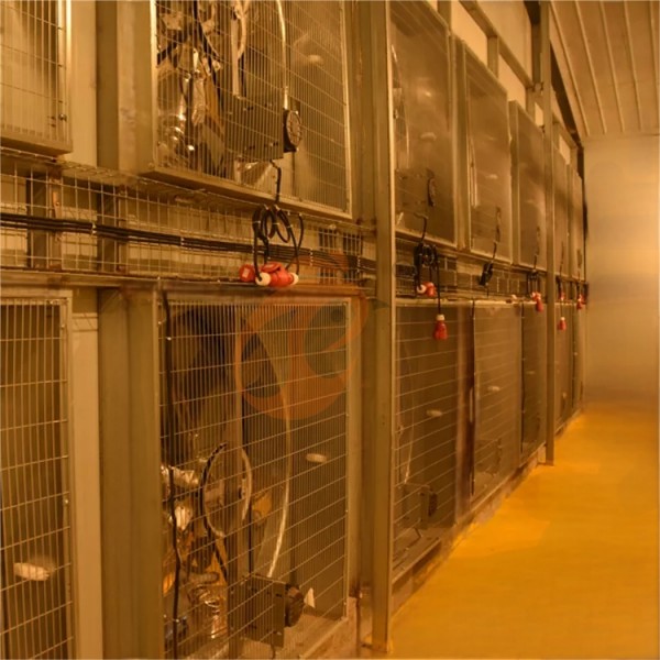 Poultry house ventilation (3)