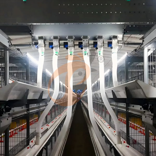 Cages à poulets intelligentes : comment l'IoT et l'IA transformeront l'élevage avicole d'ici 2030