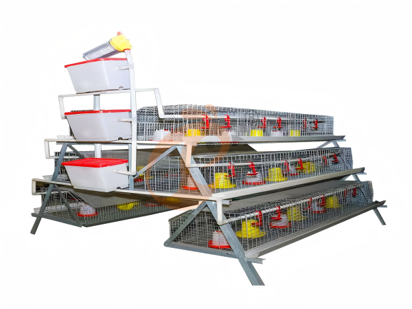 day old chicken cage