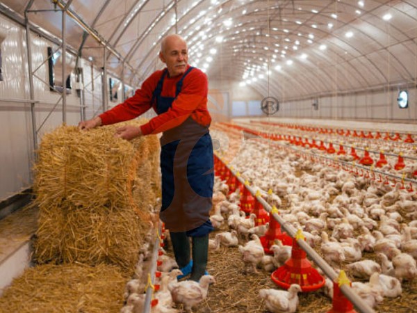 1761626641841656897938108416