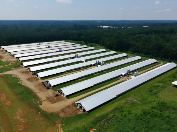 Projet de ferme avicole clé en main