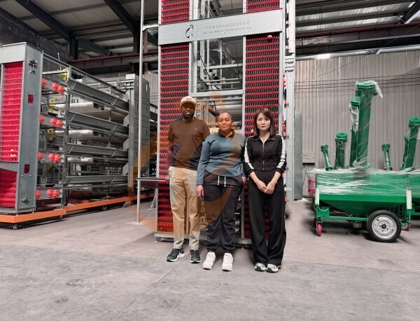 La filiale en Tanzanie propose un plan d'entreprise pour les fermes avicoles, fabrique des équipements pour les fermes avicoles