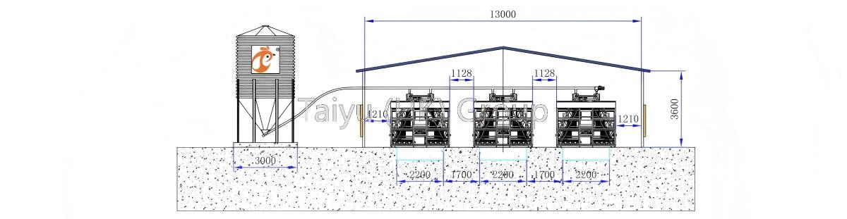 10,000 - 20,000 poules pondeuses par plan de conception de poulailler
