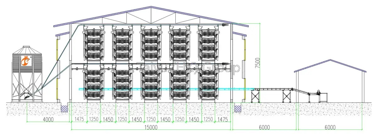 100,000+ Poulets Pondeurs Par Plan De Conception De Poulailler