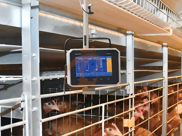 Système d'équipement intelligent IoT pour l'alimentation et l'abreuvement de la volaille