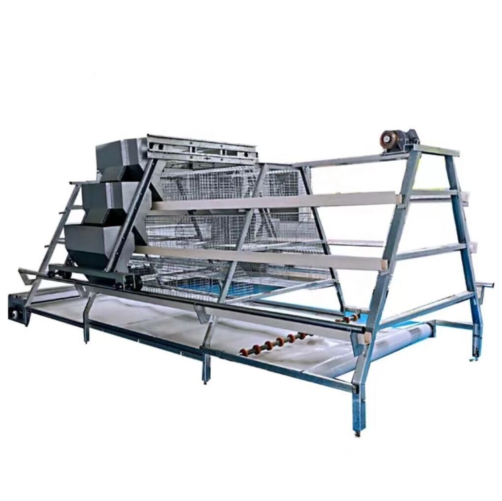 Introduction d'un tapis à fumier dans une cage à volailles à cadre en A