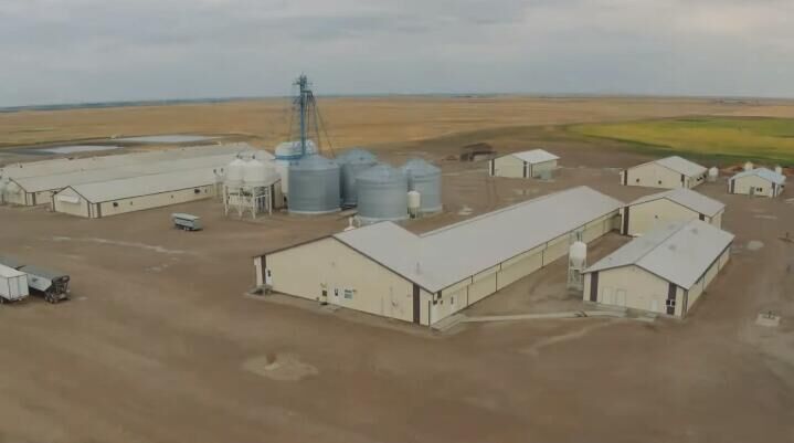 Construction d'un poulailler en acier