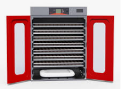 Comment augmenter le taux d'éclosion dans les incubateurs d'œufs ?