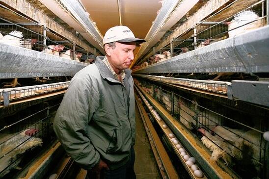 3 étages 96 128 oiseaux 24 nid cage poule pondeuse prix pour poules