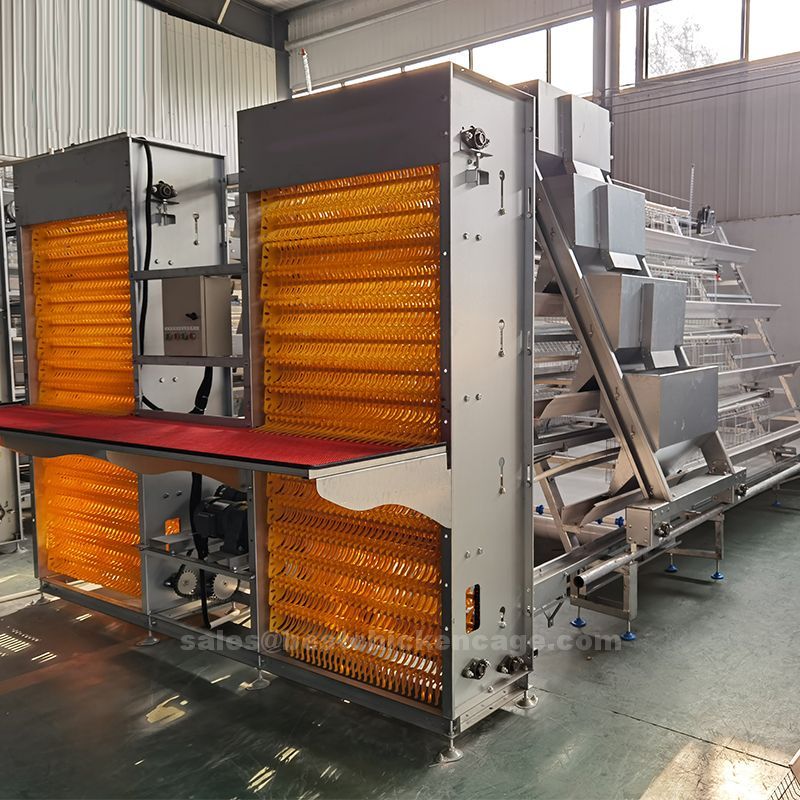 Benefits of using automatic battery cage design for layer farm and its precautionary measures