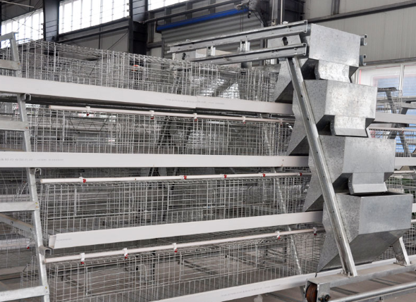 Échelle automatique type de différence entre les cages en batterie et les cages en colonie