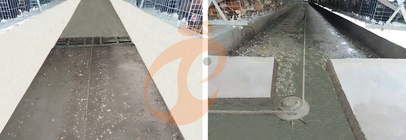 Chicken Cage Design (12) Chicken Cage Design (12)