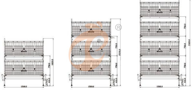 broiler chicken cage design (1)