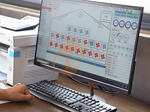 AI management poultry farm (6) AI management poultry farm (6)