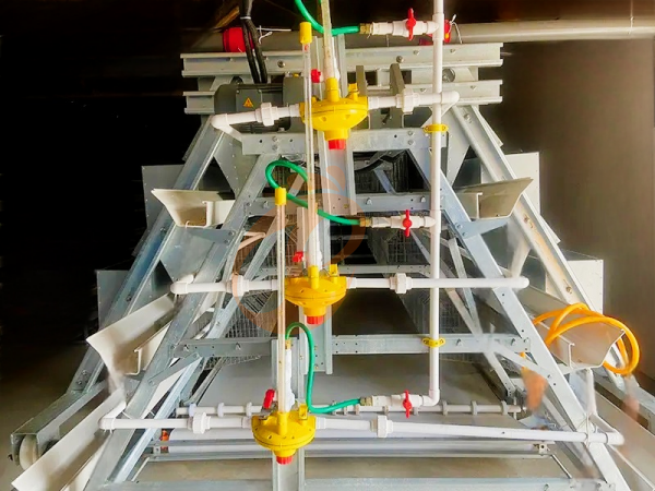 Broiler chicken cage (3)